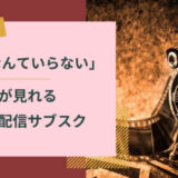 恋愛なんていらないが見れる動画配信サブスク