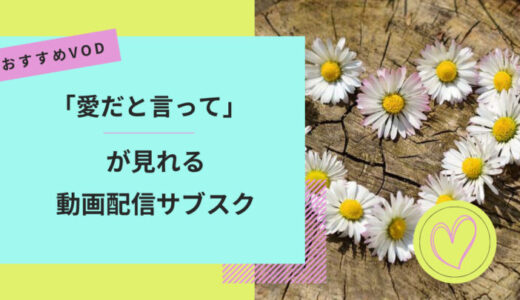 『愛だと言って』が見れる動画配信サービスは？Netflixやディズニープラスなど人気VODからおすすめを紹介