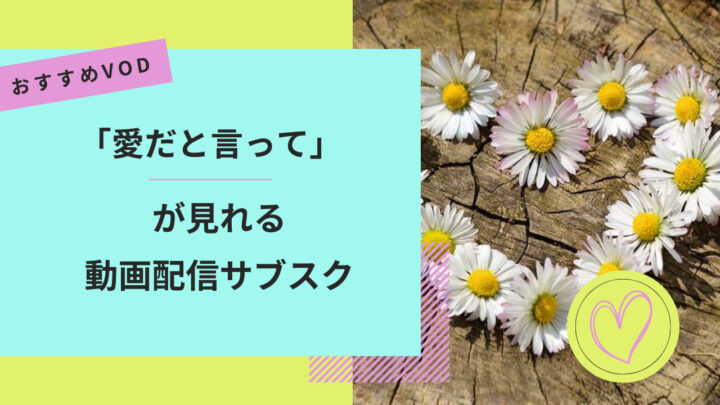 「愛だと言って」が見れる動画配信サブスク